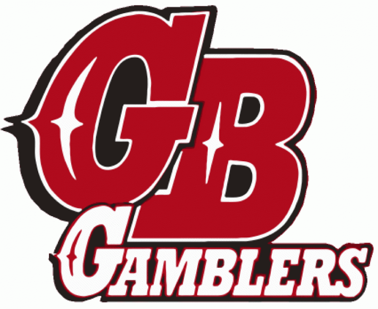 green bay gamblers 2003-2008 primary logo iron on heat transfer...